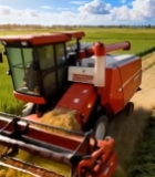  农田收割机作业画面(1)3434#竖屏 	 