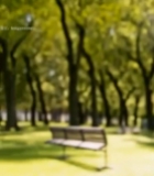  年轻人户外亲密合影2278#竖屏 	 