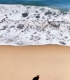  木碗装海边白晶体食品特写2441#竖屏 	 