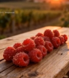  木桌上摆放的树莓与田园夕阳3953#竖屏 	 