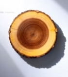  木材质地树桩横截面特写2116#竖屏 	 