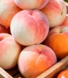  木筐中堆放的新鲜水蜜桃2081#竖屏 	 