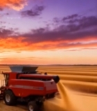  麦田夕阳下收割机作业4912#竖屏 	 