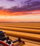  麦田夕阳下收割机作业4912#竖屏 	 