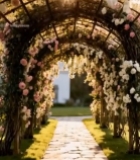  玫瑰花拱廊自然风光素材4492#竖屏 	 