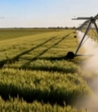  麦田灌溉设备喷洒作业画面4809#竖屏 	 