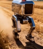  麦田中行走的机器人7714#竖屏 	 