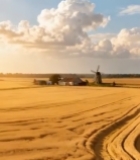  麦田风车乡村风光(1)1375#竖屏 	 