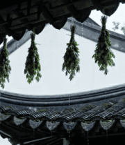 雨中古建筑屋檐挂艾草画面2402#横屏 