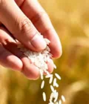  实验室科学家进行实验研究606#横屏 	 - 