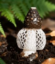 夜空繁星闪烁素材4230#横屏 