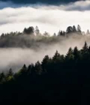  山林云海自然风光1779#横屏 	 