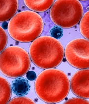 血液细胞微观展示素材2059#横屏 