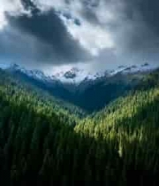  山林间茂密森林与雪山景观2179#横屏 	 