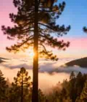  山林日出自然风光2593#横屏 	 