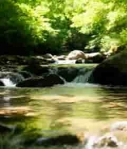  山林间溪流与岩石全景848#横屏 	 