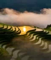  山间梯田晨景1408#横屏 	 