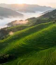 山间梯田晨景俯瞰2289#横屏 	 