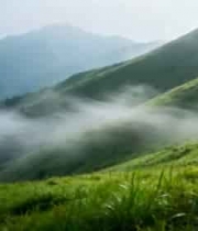  山间云雾缭绕的绿色山坡336#横屏 	 