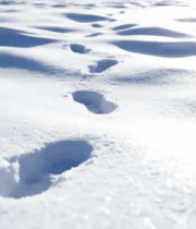 地足迹自然风光素材2005#横屏 