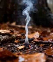  森林地面枯叶中冒烟场景579#横屏 	 