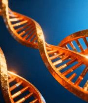 渲染双螺旋结构1925#横屏 