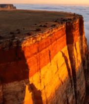  森林中穿透树木的阳光景象2067#横屏 	 