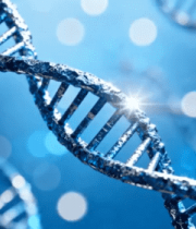 渲染双螺旋结构(1)4655#横屏 