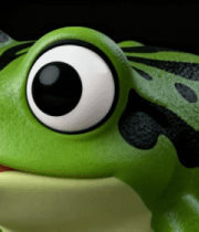 渲染青蛙特写2253#横屏 