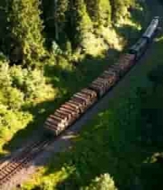  森林中货运火车航拍画面2815#横屏 	 