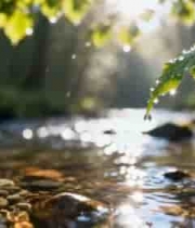  森林中溪流与植物特写517#横屏 	 