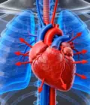  人体心脏及循环系统展示314#横屏 	 