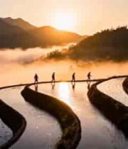  日出时山间梯田与行人景观2961#横屏 	 