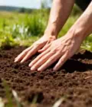  人手在田地触摸土壤画面2726#横屏 	 