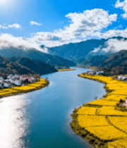 乡村油菜花田河流全景3669#横屏 