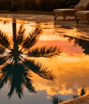 夕阳下泳池边的棕榈树倒影5421#横屏 