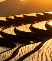 夕阳下的梯田风光436#横屏 