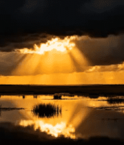 云下湿地日落自然风光1868#横屏 