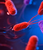 微观细菌渲染画面(1)3813#横屏 