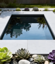 庭院方形水池及多肉植物景观1606#横屏 