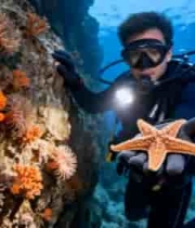  潜水员海底手持海星画面51#横屏 	 