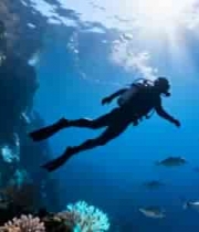  潜水员海底畅游与鱼群共舞907#横屏 	 