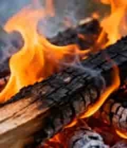  燃烧的木柴火焰特写3047#横屏 	 