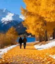  秋日湖畔两人漫步风景1515#横屏 	 