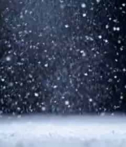  飘落的雪花特写1781#横屏 	 