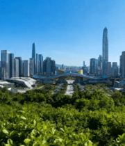 深圳城市建筑群全景2982#横屏 