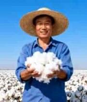  农民于棉田捧棉花839#横屏 	 