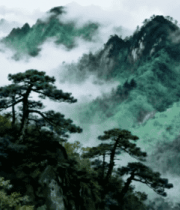 山间云海与青松景观2979#横屏 