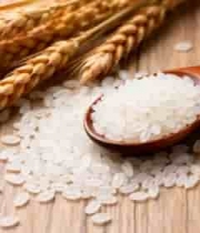  木勺盛放大米及麦穗特写2129#横屏 	 