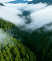 山林云海鸟瞰全景4228#横屏 